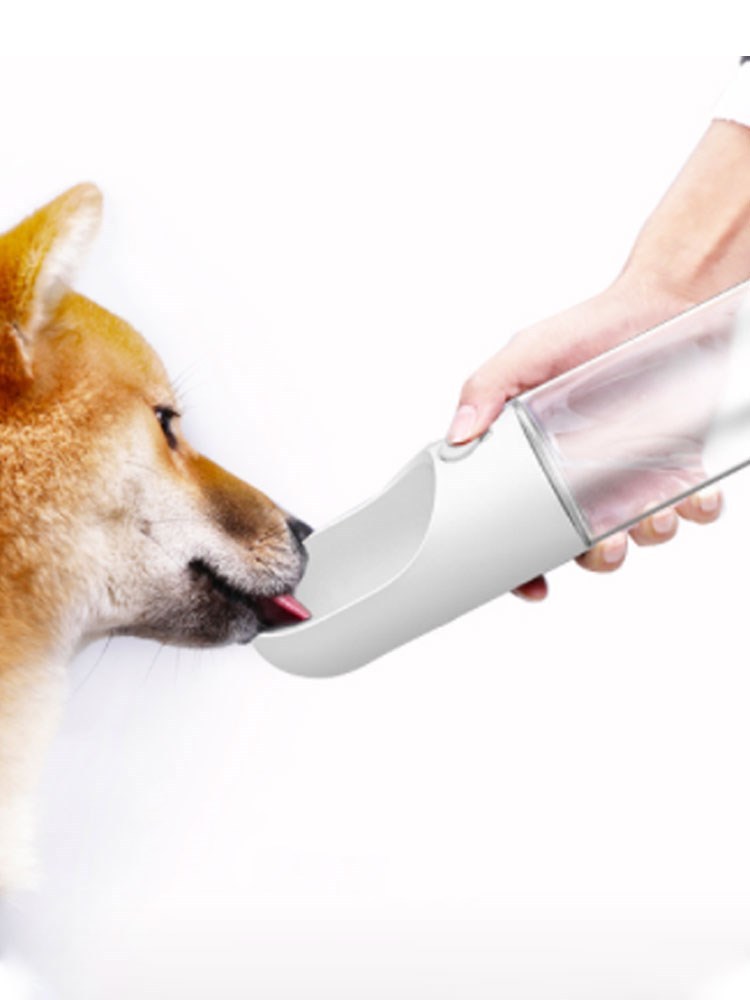 Pupperz Outdoor Drinking And Feeding Dog Fountain