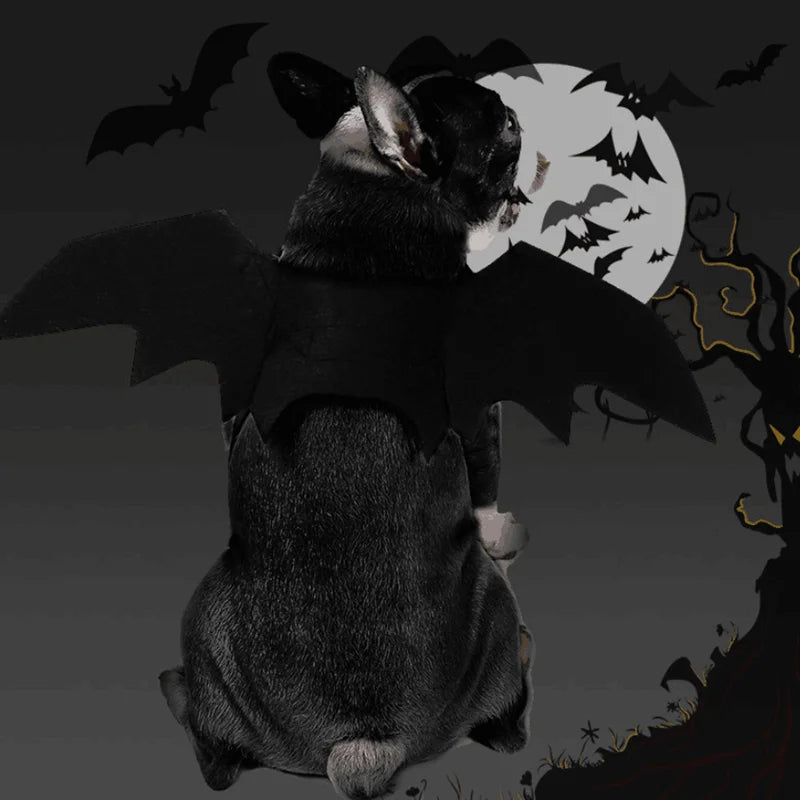 Pupperz Bat Costume
