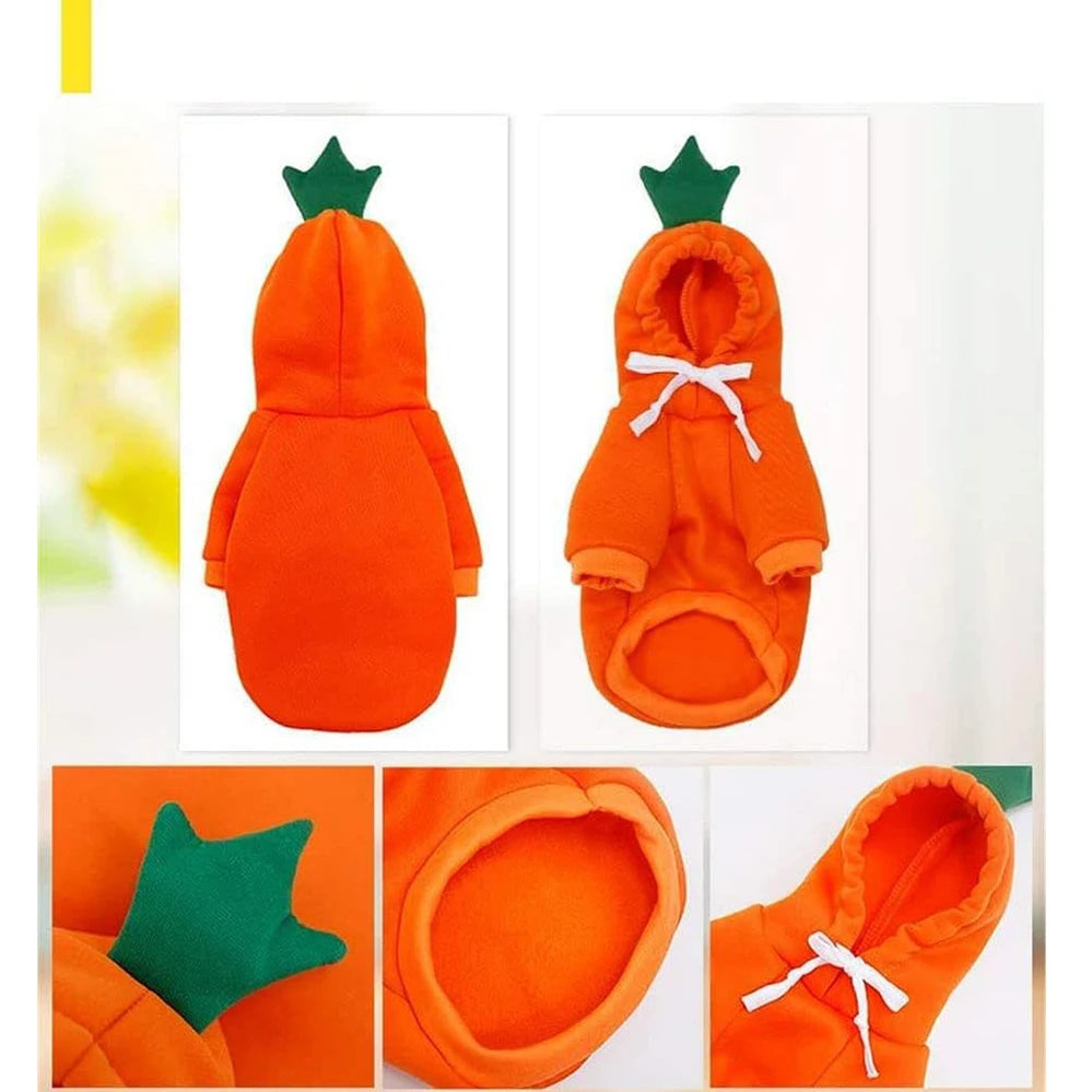Pupperz Fruit Costume