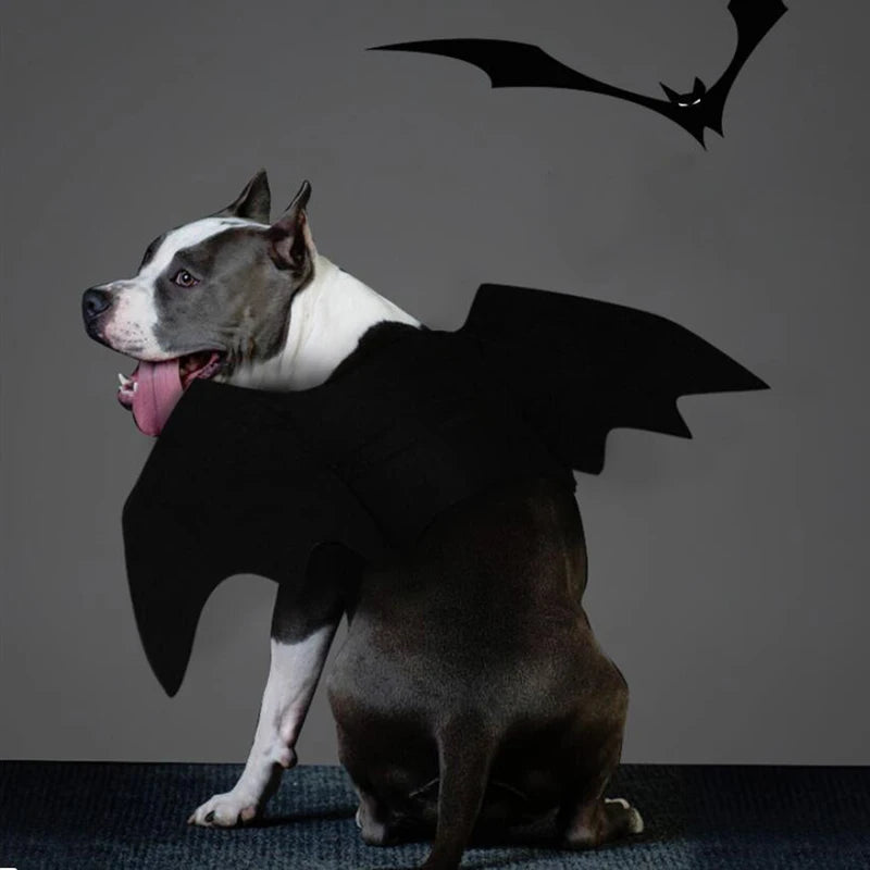 Pupperz Bat Costume