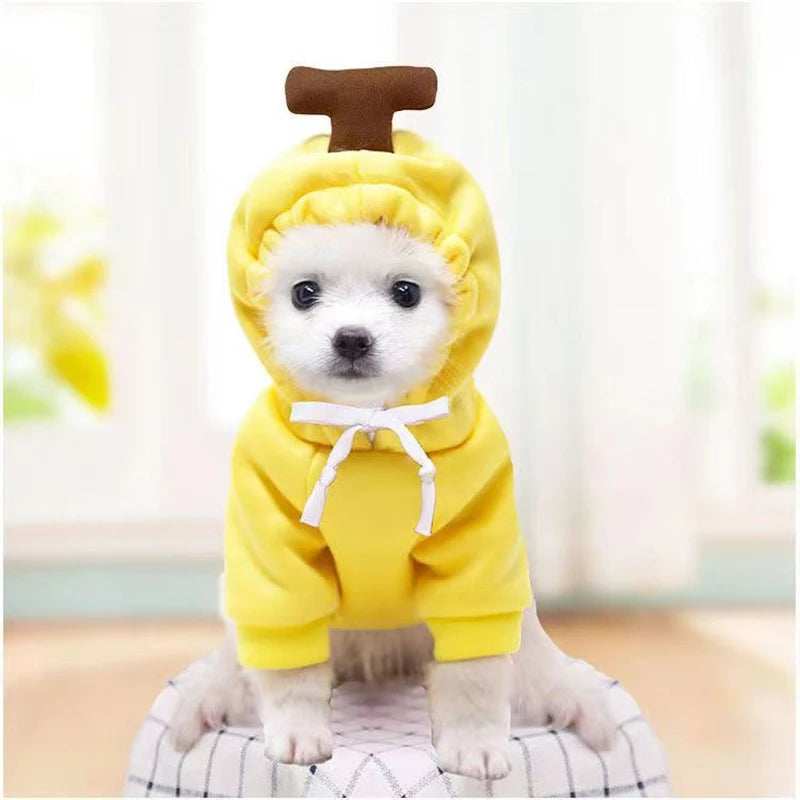 Pupperz Fruit Costume