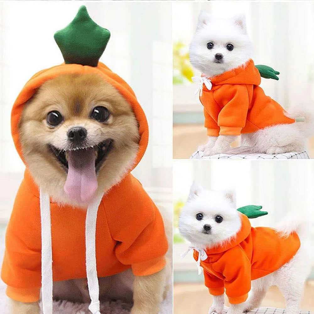 Pupperz Fruit Costume