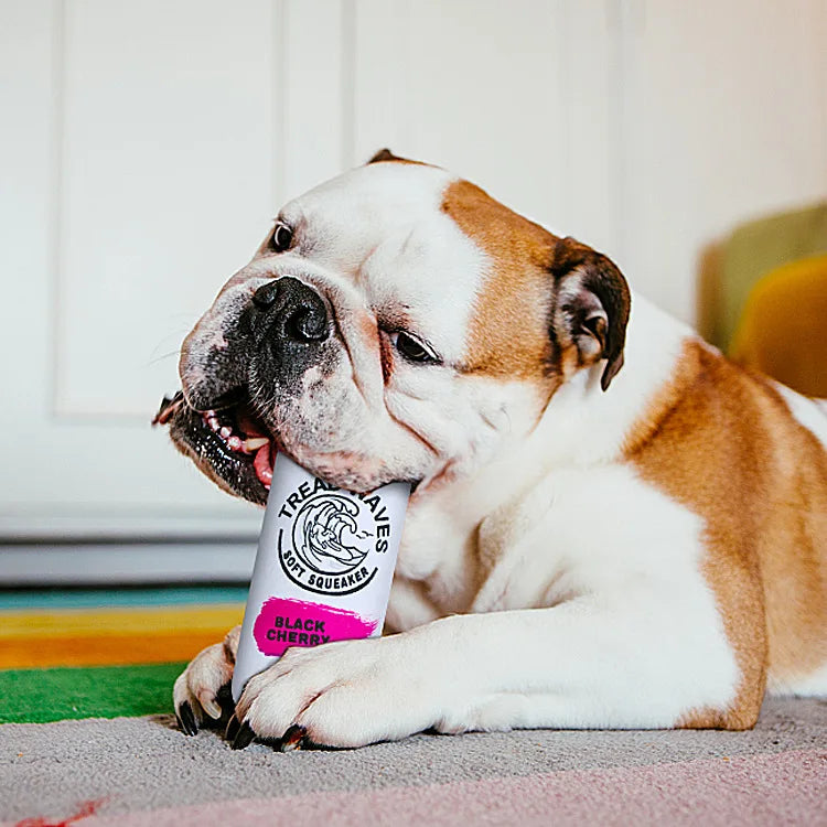 Pupperz "Seltzer" Plush
