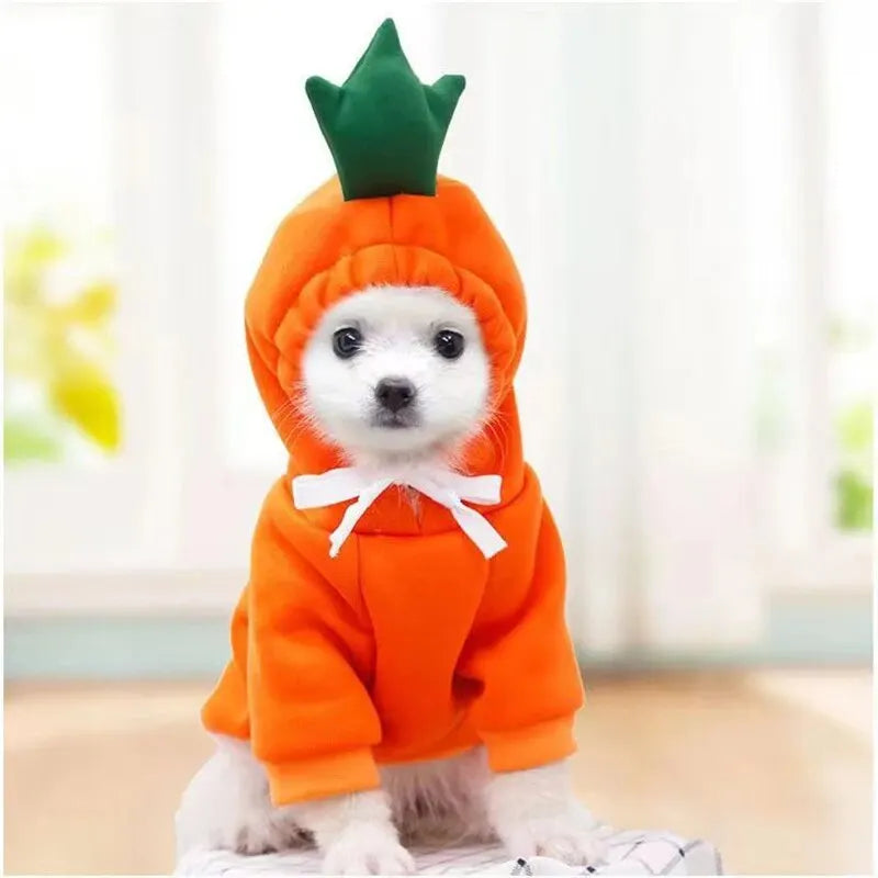 Pupperz Fruit Costume