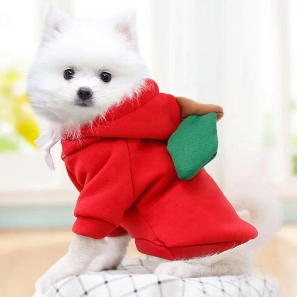 Pupperz Fruit Costume