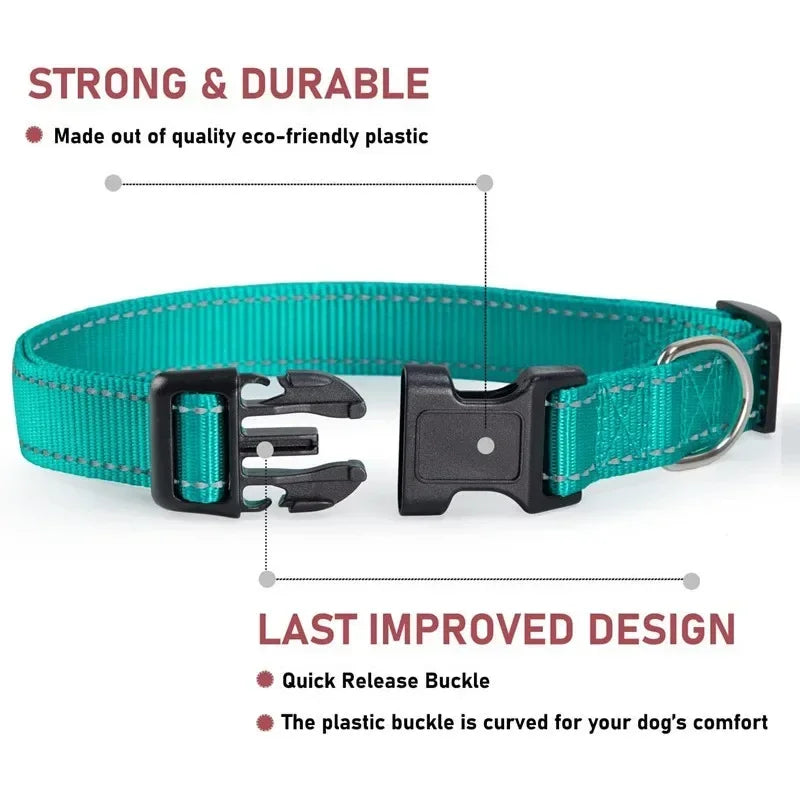 Pupperz Glow Collar