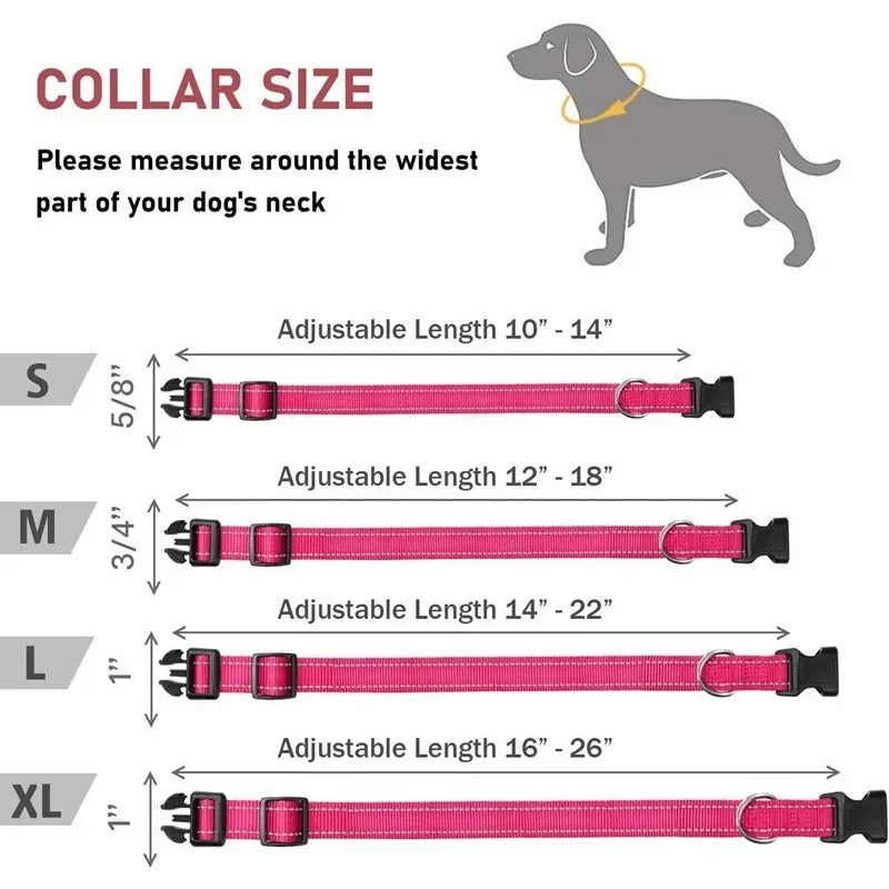 Pupperz Glow Collar