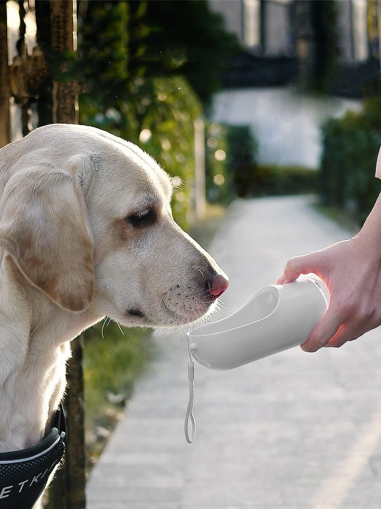 Pupperz Outdoor Drinking And Feeding Dog Fountain