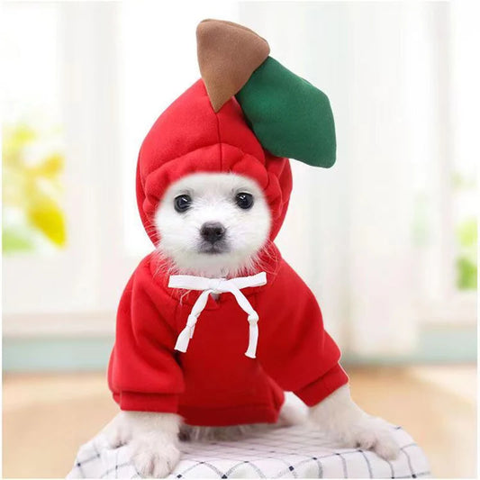 Pupperz Fruit Costume