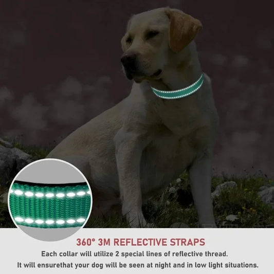 Pupperz Glow Collar
